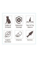 Animal World Derma Care Somonlu ve Pirinçli Yetişkin Köpek Maması 15 Kg