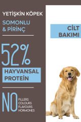 Animal World Derma Care Somonlu ve Pirinçli Yetişkin Köpek Maması 15 Kg