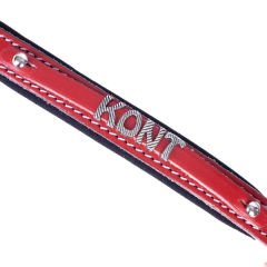 Doggie Konfor Deri İsimlikli Köpek Boyun Tasması Small Kımızı 2x30-35 Cm