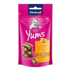 Vitakraft Peynirli Yumuşak Kedi Ödül Maması 40 Gr