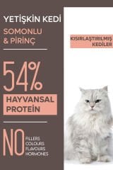 Animal World Sterilised Somonlu Kısırlaştırılmış Kedi Maması 1.5 Kg