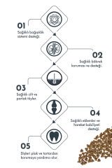 Pro Performance Kuzu Etli ve Yaban Mersinli Hipolaerjenik Küçük Irk Kısırlaştırılmış Köpek Maması 7 Kg