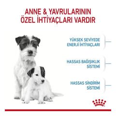 Royal Canin Mini Starter Anne ve Yavru Köpek Maması 3 Kg