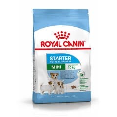 Royal Canin Mini Starter Anne ve Yavru Köpek Maması 3 Kg