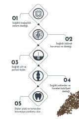 Pro Performance Kuzu Etli ve Yaban Mersinli Küçük Irk Yavru Köpek Maması 7 Kg