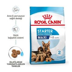 Royal Canin Maxi Starter Anne ve Yavru Köpek Maması 15 Kg