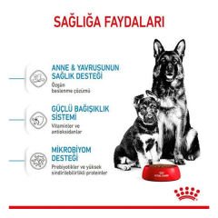 Royal Canin Maxi Starter Anne ve Yavru Köpek Maması 15 Kg