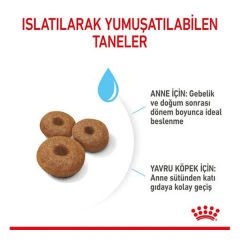 Royal Canin Maxi Starter Anne ve Yavru Köpek Maması 15 Kg