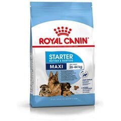Royal Canin Maxi Starter Anne ve Yavru Köpek Maması 15 Kg