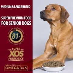 Reflex Plus Kuzulu Orta ve Büyük Irk Yaşlı Köpek Maması 15 Kg