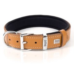 Doggie Comfort Deri Kemik Süslü Köpek Boyun Tasması Medium Camel 3x42-50 Cm