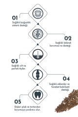 Pro Performance Kuzu Etli ve Yaban Mersinli Mini Irk Yetişkin Köpek Maması 7 Kg