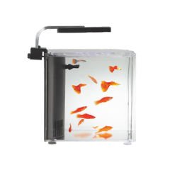 Aquasyncro Clarity Filtreli ve Işıklı Nano Akvaryum 20x20x25 Cm