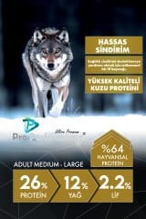 Pro Performance Kuzu Etli ve Yaban Mersinli Orta ve Büyük Irk Yetişkin Köpek Maması 12 Kg