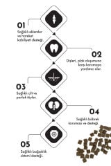 Pro Performance Kuzu Etli ve Yaban Mersinli Orta ve Büyük Irk Yetişkin Köpek Maması 12 Kg