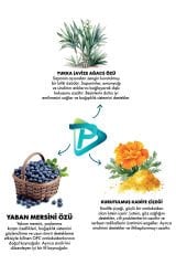 Pro Performance Kuzu Etli ve Yaban Mersinli Orta ve Büyük Irk Yetişkin Köpek Maması 12 Kg