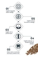 Pro Performance Somonlu ve Yaban Mersinli Küçük Irk Yetişkin Köpek Maması 7 Kg