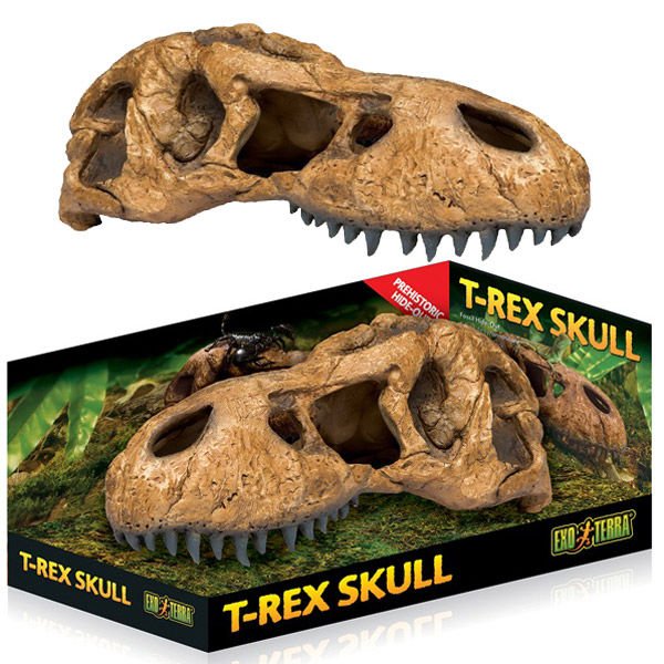 Exo Terra Sürüngen Trex Kafatası Şekilli Sürüngen Yuvası 25x14x12.70 Cm