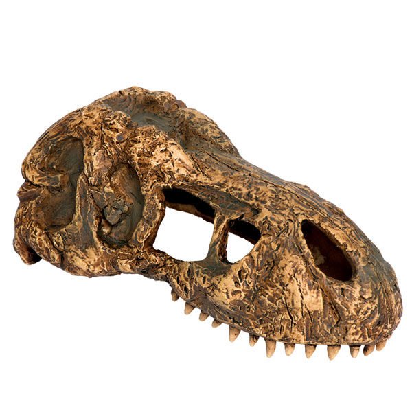 Exo Terra Sürüngen Trex Kafatası Small