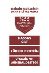 Pro Performance Ultra Premium Dana Etli Yetişkin Konserve Kedi Maması 1 Adet 400 Gr