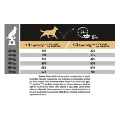 Pro Plan Adult Kuzu Etli Yetişkin Köpek Maması 14 Kg