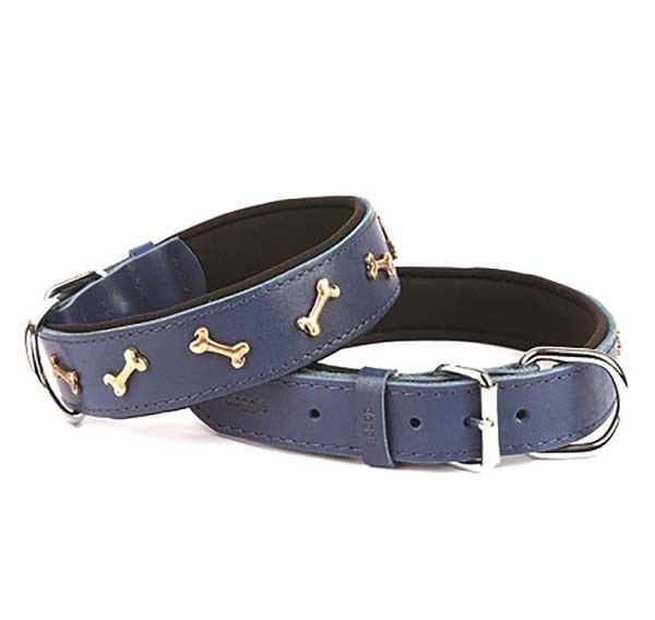 Doggie Comfort Deri Kemik Süslü Köpek Boyun Tasması Medium Mavi 4x52-60 Cm