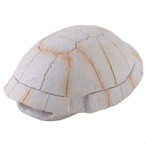 Exo Terra Sürüngen Kaplumbağa Kabuğu Beyaz 13.5x9x7 Cm
