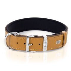 Doggie Comfort Deri Kemik Süslü Köpek Boyun Tasması Medium Camel 4x52-60 Cm