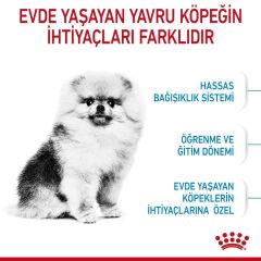 Royal Canin Puppy Mini Indoor Tavuklu Yavru Köpek Maması 1,5 kg