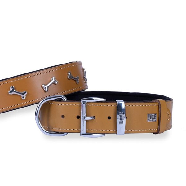 Doggie Comfort Deri Kemik Süslü Köpek Boyun Tasması Large Camel 4x57-65 Cm