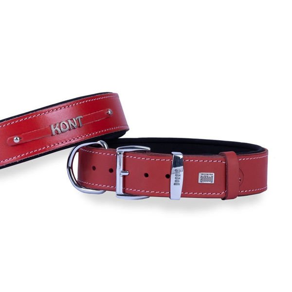 Doggie Konfor Deri İsimlikli Köpek Boyun Tasması Medium Kırmızı 3.5x47-55 Cm