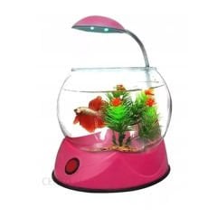 Hailea V01 Led Aydınlatmalı Fanus Akvaryum Pembe 2.5 Lt