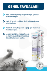 OneVet Malt Extra Paste Tüy Yumağı Önleyici Kedi Maltı 100 Gr