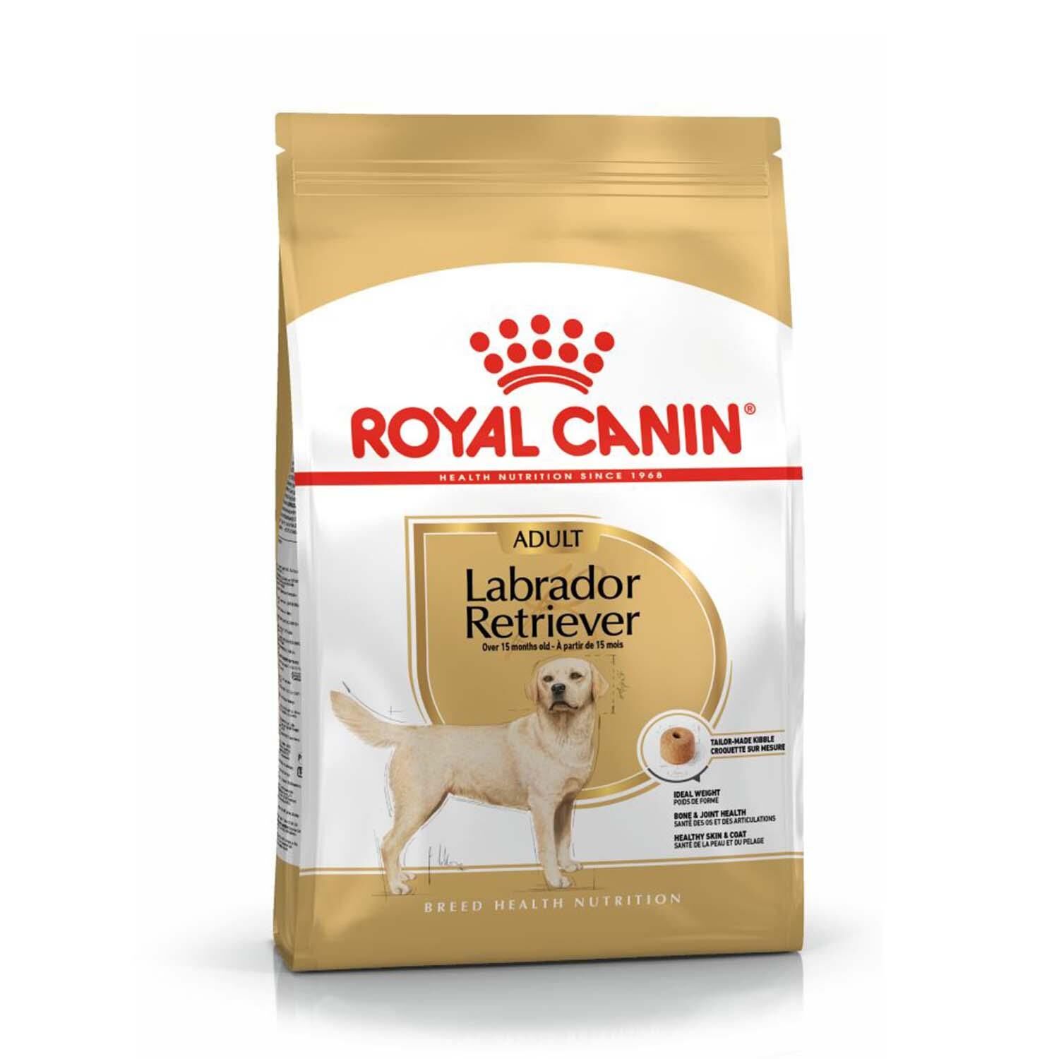 Royal Canin Labrador Retriever Yetişkin Köpek Maması 12 kg