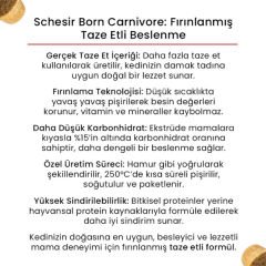 Schesir Born Carnivore Somonlu ve Ringa Balıklı Yetişkin Kedi Maması 1.25 Kg