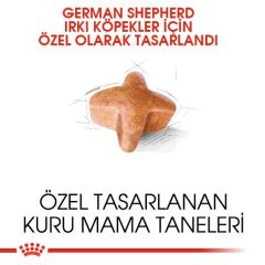 Royal Canin German Shepherd Alman Kurduna Özel Yetişkin Köpek Maması 11 kg