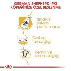Royal Canin German Shepherd Alman Kurduna Özel Yetişkin Köpek Maması 11 kg
