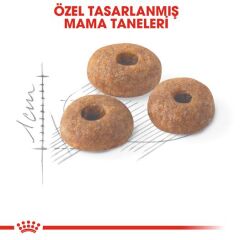 Royal Canin Fit 32 Yetişkin Kedi Maması 10 kg