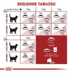 Royal Canin Fit 32 Yetişkin Kedi Maması 10 kg