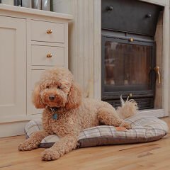Ferplast Hamilton 70 Kedi ve Köpek Yatağı Kahverengi 43x30 Cm