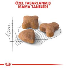 Royal Canin Sensible 33 Hassas Sindirimi Olan Kediler Için Mama 4 kg
