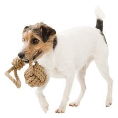 Trixie At Getir ve Tut Çek Köpek Oyuncağı 30 Cm