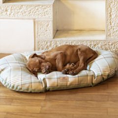 Ferplast Hamilton 70 Kedi ve Köpek Yatağı Yeşil 43x30 Cm