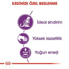 Royal Canin Sensible 33 Hassas Sindirimi Olan Kediler İçin Mama 10 kg