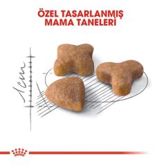 Royal Canin Sensible 33 Hassas Sindirimi Olan Kediler İçin Mama 10 kg