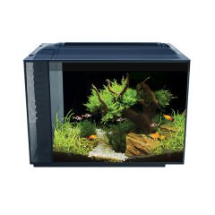 Fluval Spec Akvaryum Siyah 60 Lt