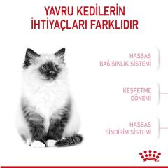 Royal Canin Kitten Yavru Kedi Maması 10 kg