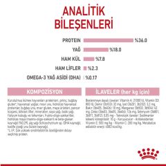 Royal Canin Kitten Yavru Kedi Maması 10 kg