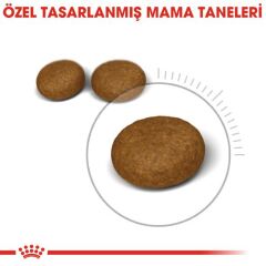 Royal Canin Hair & Skin Hassas Tüylü Kediler İçin Mama 4 kg