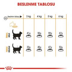 Royal Canin Hair & Skin Hassas Tüylü Kediler İçin Mama 4 kg